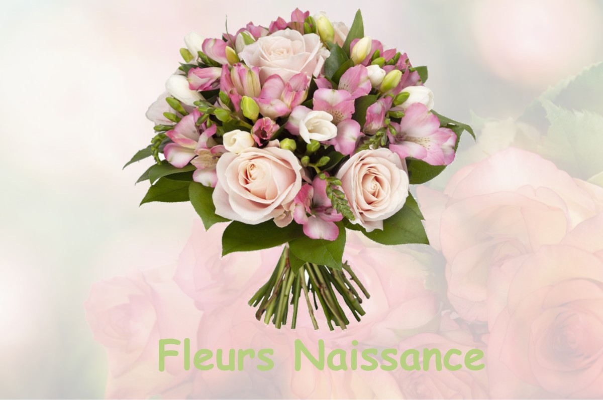 fleurs naissance NOVES