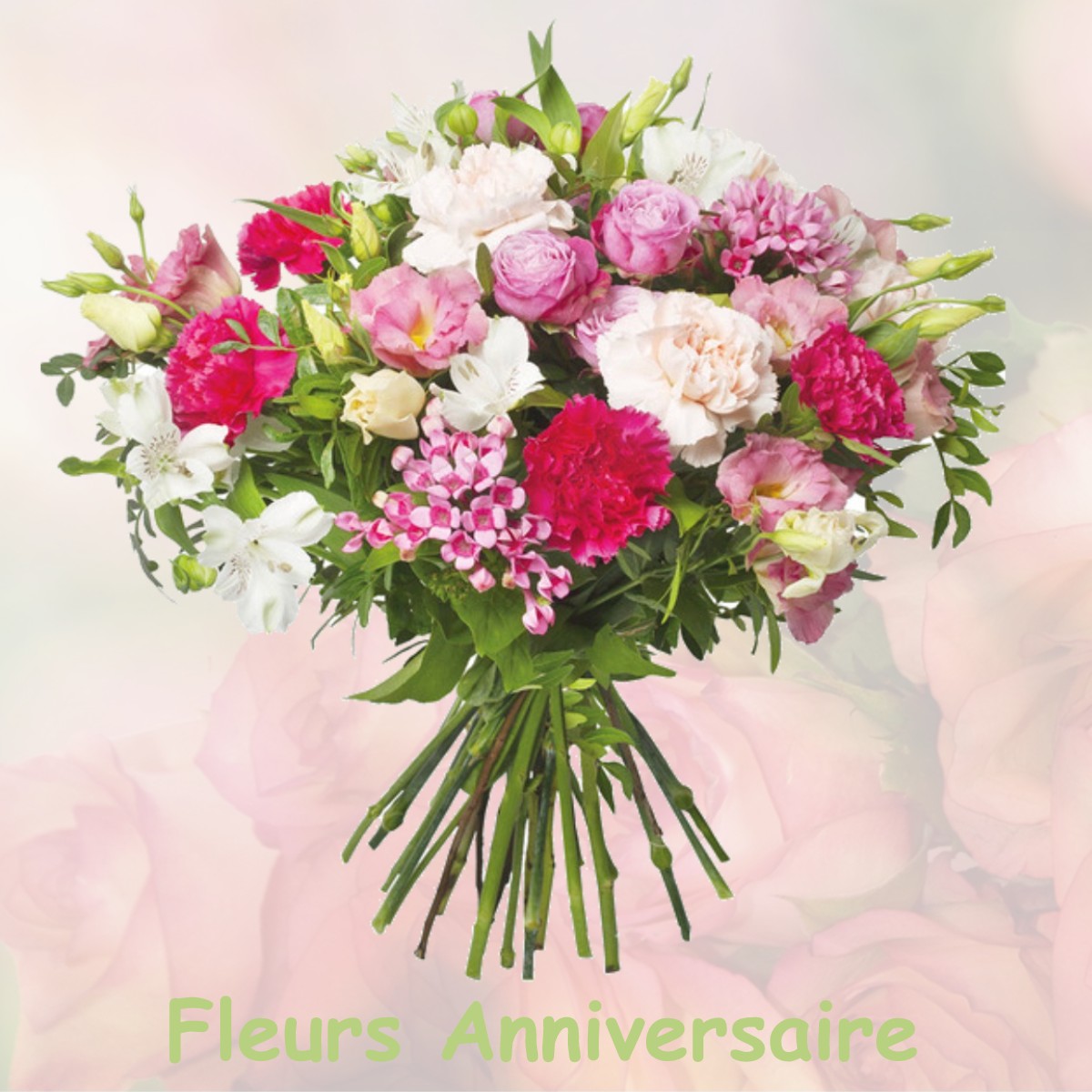 fleurs anniversaire NOVES