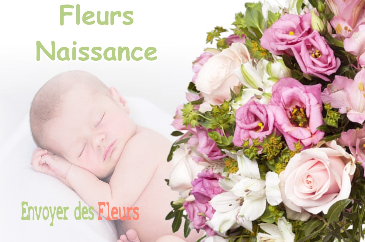 lIVRAISON FLEURS NAISSANCE à NOVES