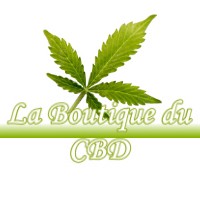 LA BOUTIQUE DU CBD NOVES 